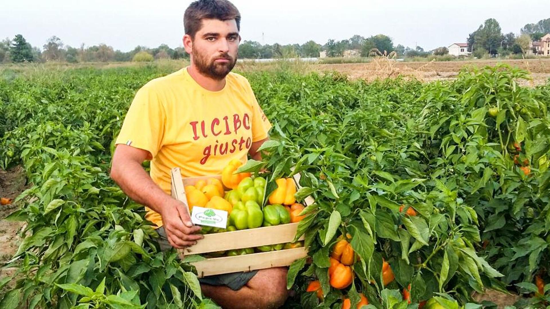 andrea olezza azienda agricola peperone voghera